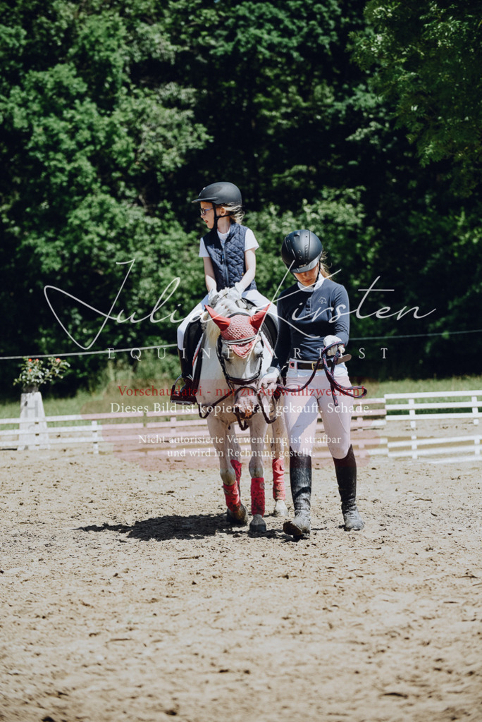 DSC_2593 | Pferde- und Turnierfotografie in Westsachsen. Pferdeportraits, Auftragszeichnungen und intuitive Kunst.