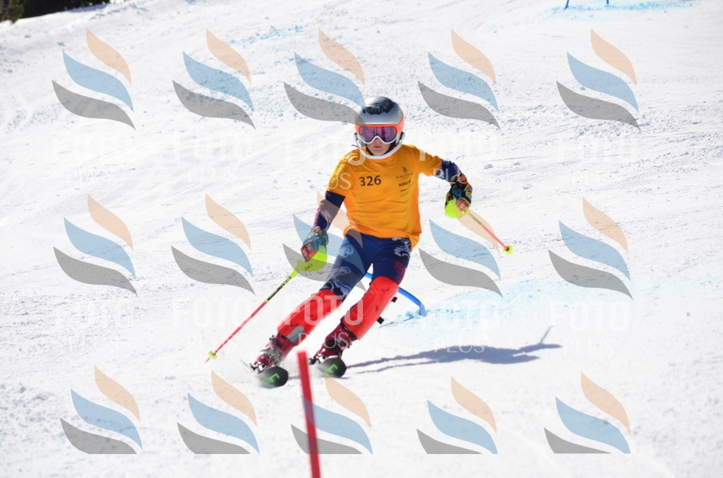 C9643 | holidayphoto