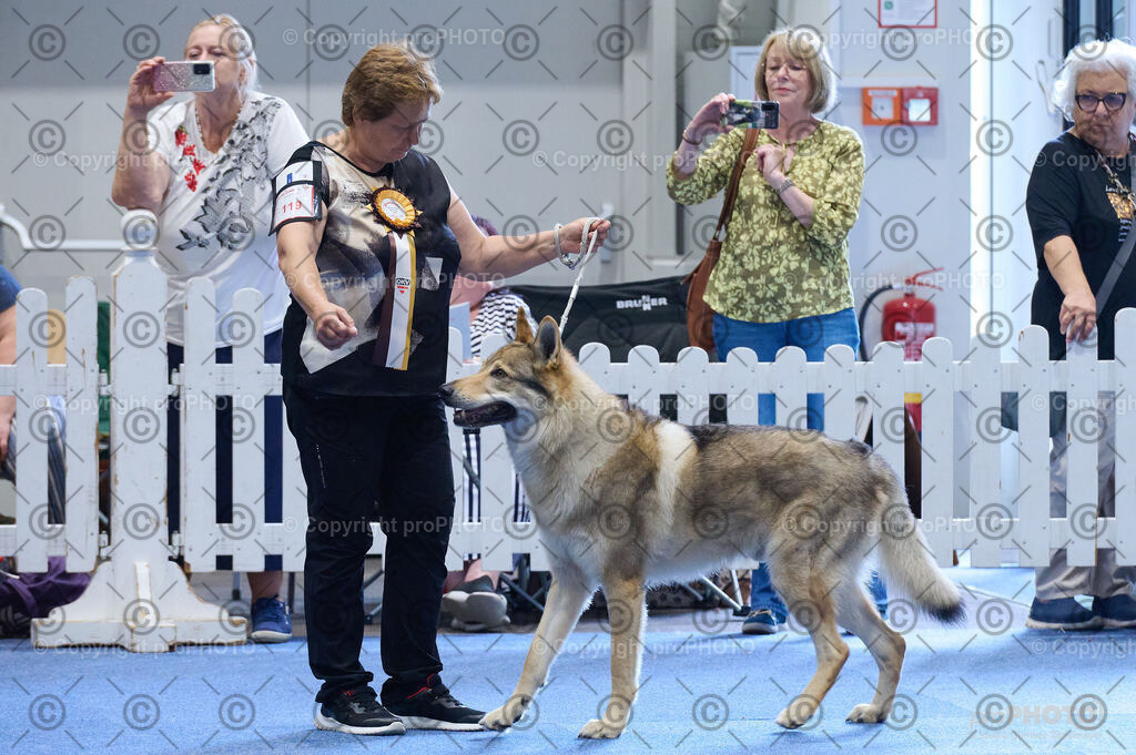 202406_ÖKV-IHA-Tulln24_DSC_4843 | proPHOTO - Realisiert mit Pictrs.com