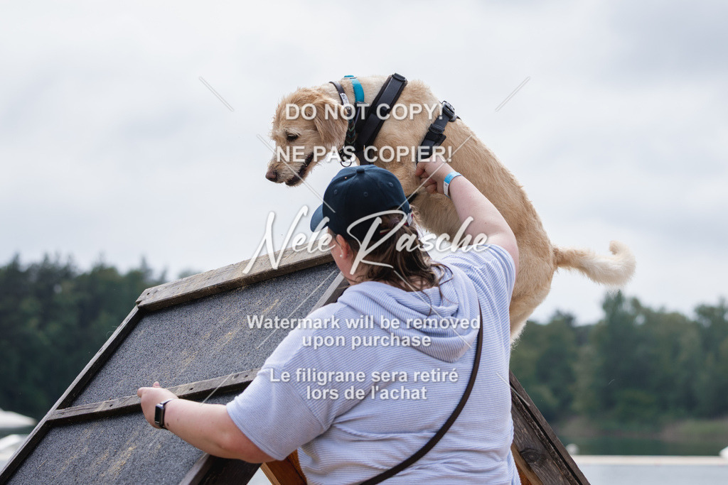 nelerasche_BuHu2026_So1530-Ende_73 | nelerasche