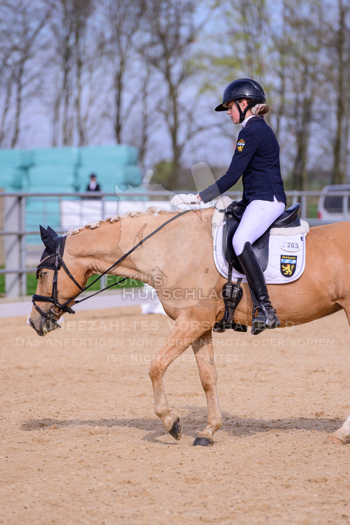 09042026-Mammendorf-Prfg08-0478 | Fokus Hufschlag Fotografie - Realisiert mit Pictrs.com