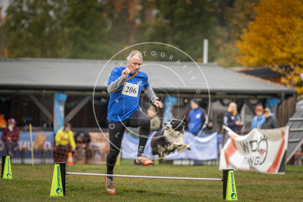 Pfotenfotografie_DV3A1750 | Hundefotografie, Tierfotograf, Pfotenfotografie, Fotoshooting Hund, Hunde Portrait, Hundesport, Hundeportraits, Heideshooting, Hunde, Sportfotograf, Hundefotograf, Turnierhundsport, THS,  - Realisiert mit Pictrs.com