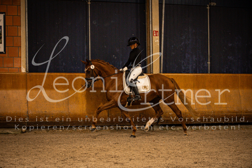 1Reiten00138 | Leoni Ertmer Photography - Realisiert mit Pictrs.com