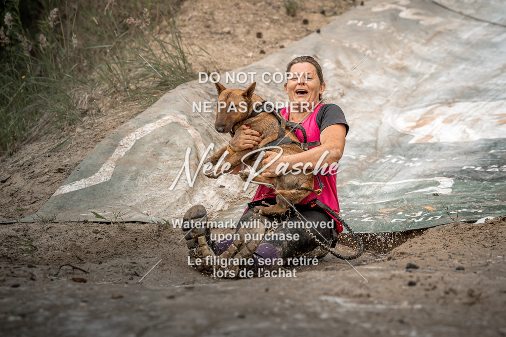 nelerasche_sa1430-1500_31 | nelerasche