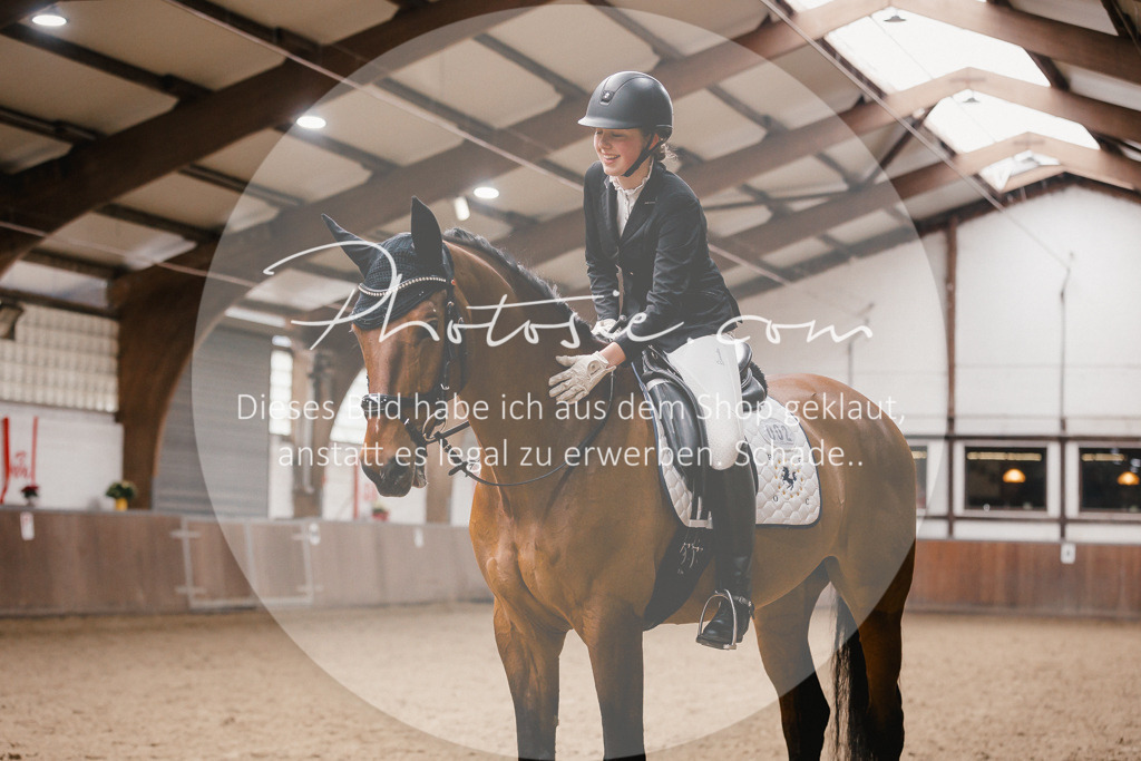 3I6A7230 | Stimmungsvolle Portraits und Reitsportfotografie im Ruhrgebiet und im Münsterland.

Pferdefotografie, Hundefotografie, Tierfotografie, Reportagen, Portraits von Tier und Mensch, Turnierfotografie in Bochum, Recklinghausen, Marl, Haltern am See, Dülmen.. - Realisiert mit Pictrs.com