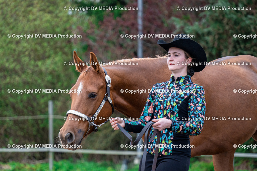 BA300077 | dv-media-shop - Realisiert mit Pictrs.com