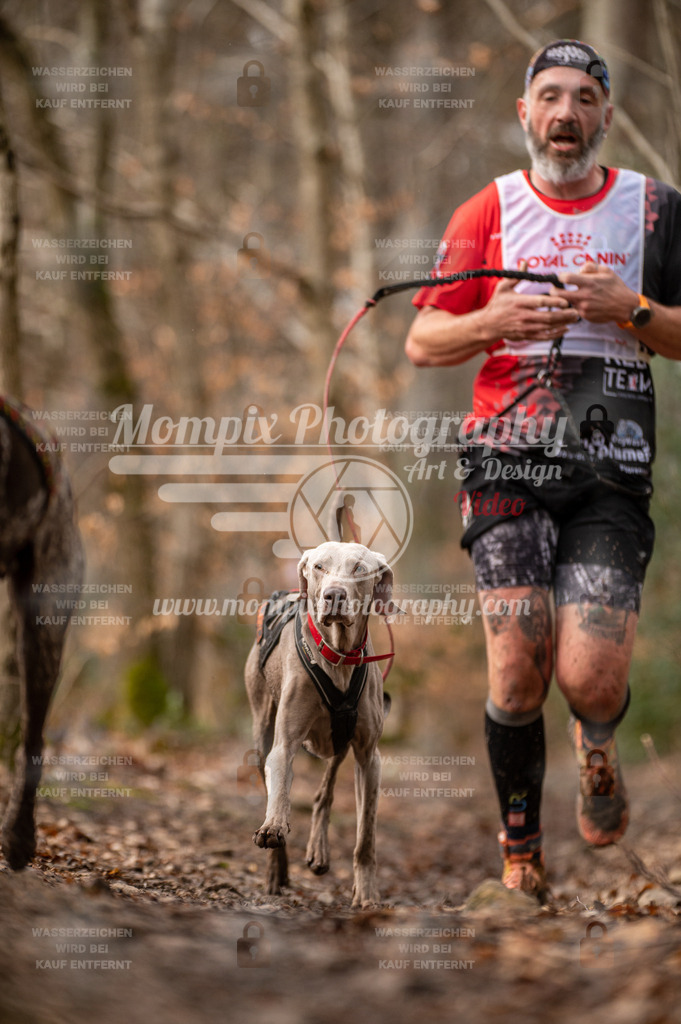 SPA_2023_DIM_CCK-25 | PayLife