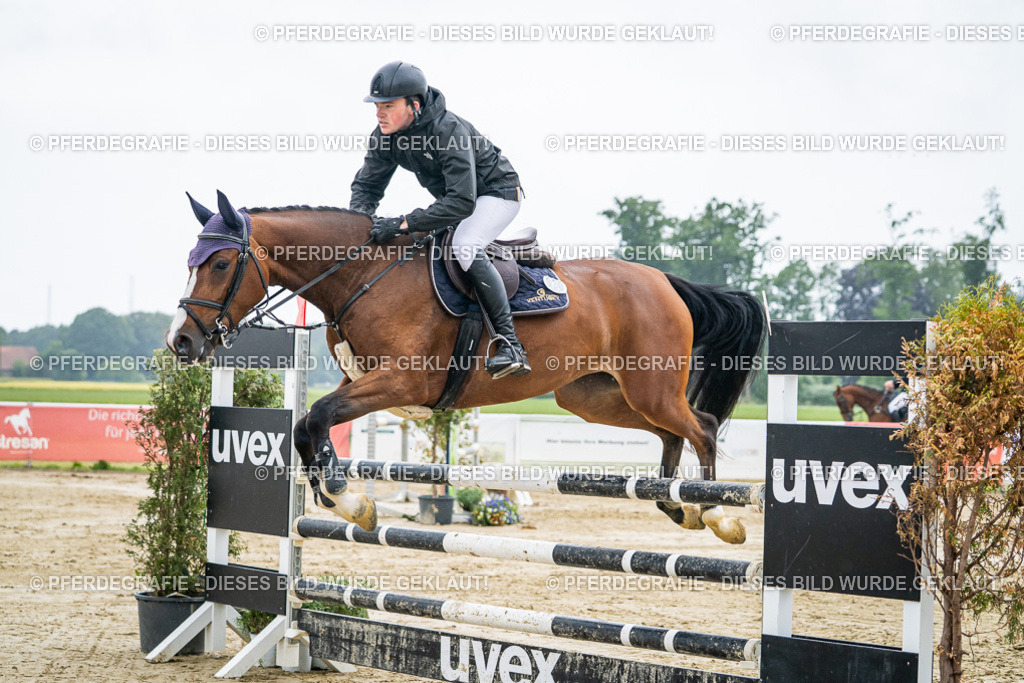 DSC02155 | Pferdegrafie