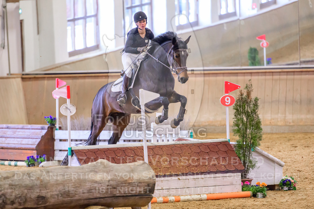 29032026-Schwaiganger-Prfg03-1-1125 | Fokus Hufschlag Fotografie - Realisiert mit Pictrs.com