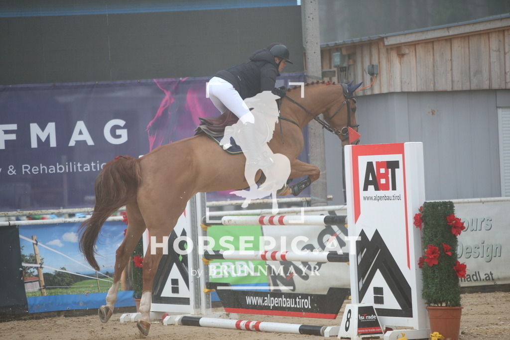 PP012470 | Willkommen bei Brunnmayr - Design & Fotografie – Ihrem Spezialisten für Reitturniere und Pferdeveranstaltungen in Oberösterreich, Salzburg und Bayern! Seit über 17 Jahren sind wir leidenschaftlich dabei.