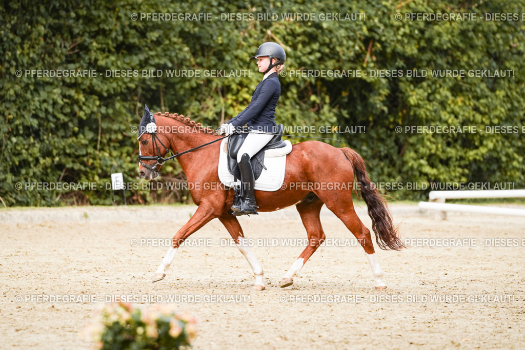 DSC03773 | Pferdegrafie