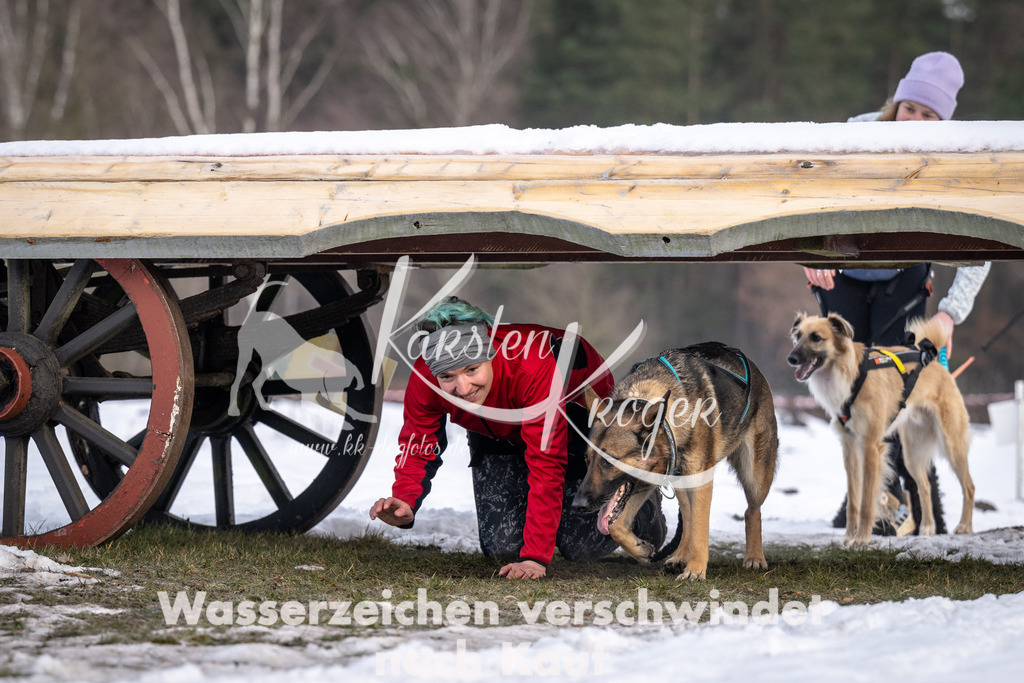 0812_ZZ90894-5 | kk-dogfotos