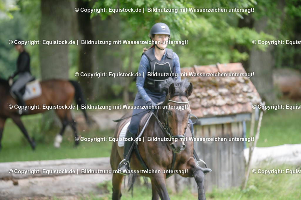 20250726_Vielseitigkeitslehrgang-Marbach_0739 | Foto: Thomas Hartig