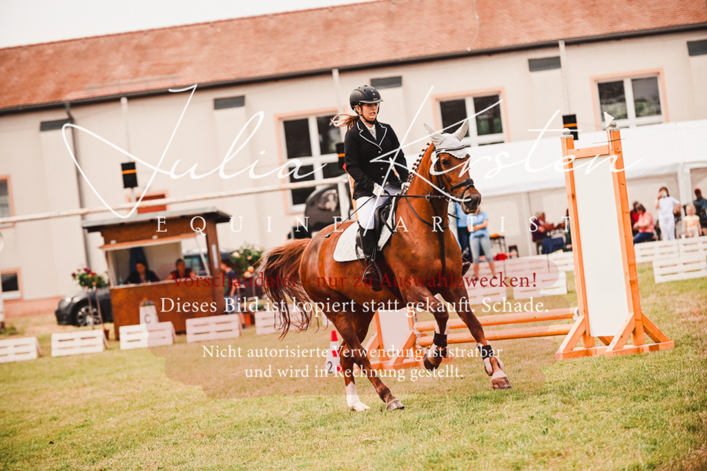 DSC_6861 | Pferde- und Turnierfotografie in Westsachsen. Pferdeportraits, Auftragszeichnungen und intuitive Kunst.
