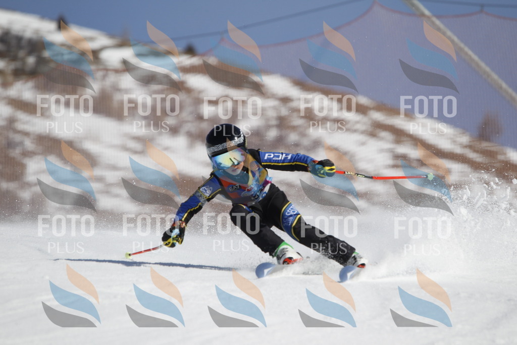 _U3G9580 | holidayphoto