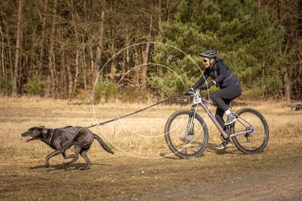 DV3A4450 | Hundefotografie, Tierfotograf, Pfotenfotografie, Fotoshooting Hund, Hunde Portrait, Hundesport, Hundeportraits, Heideshooting, Hunde, Sportfotograf, Hundefotograf, Turnierhundsport, THS,  - Realisiert mit Pictrs.com