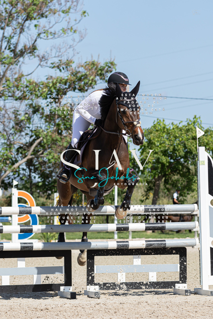 IMG_0777 | s-jay-photography - Realized with Pictrs.com