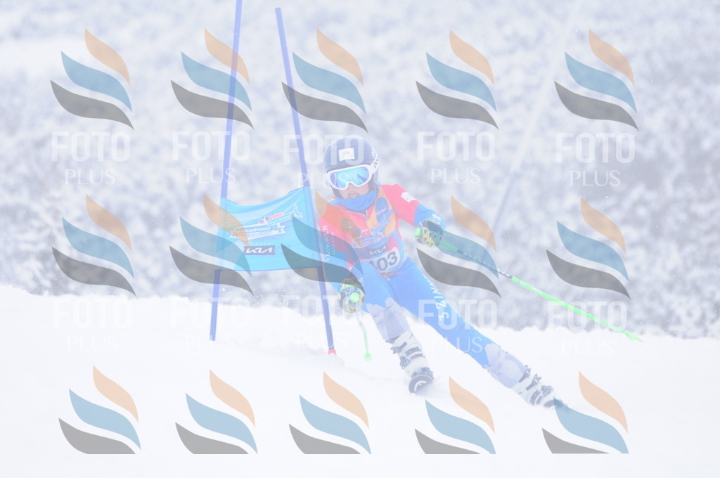 C4234 | holidayphoto