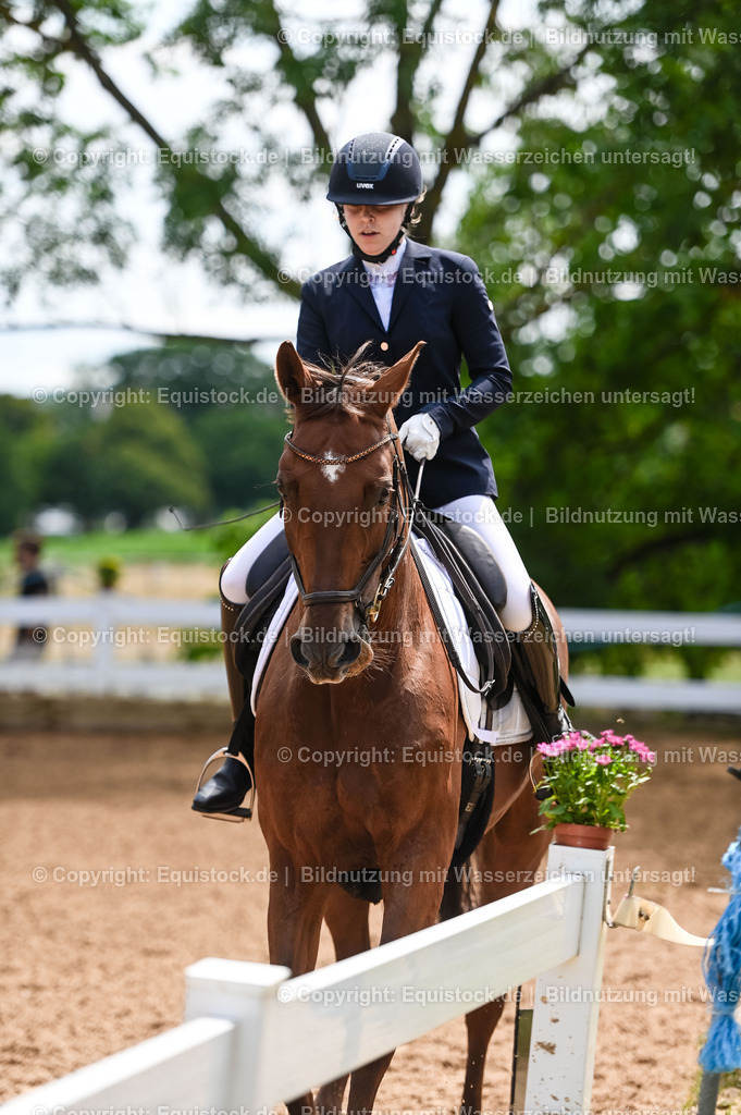 20230716_03_Dressurprfg. Kl.L - Tr._0395 | equistock