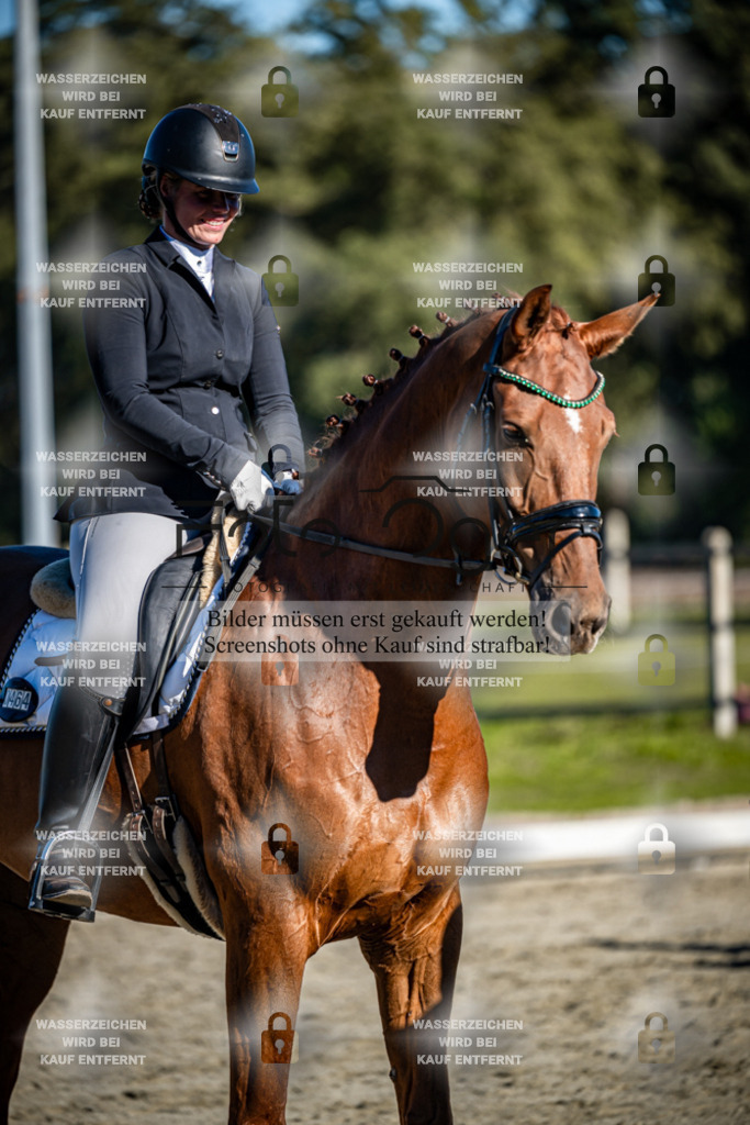 2026-09-Lohne-11-0016 | Entdecke hochwertige Reitturnierfotos von Foto Oger. Professionell, emotional und authentisch – jetzt Lieblingsmomente im Shop bestellen.Deutschlandweite Turnierfotografie. - Realisiert mit Pictrs.com