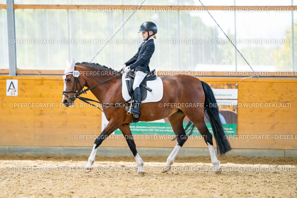 DSC01076 | Pferdegrafie