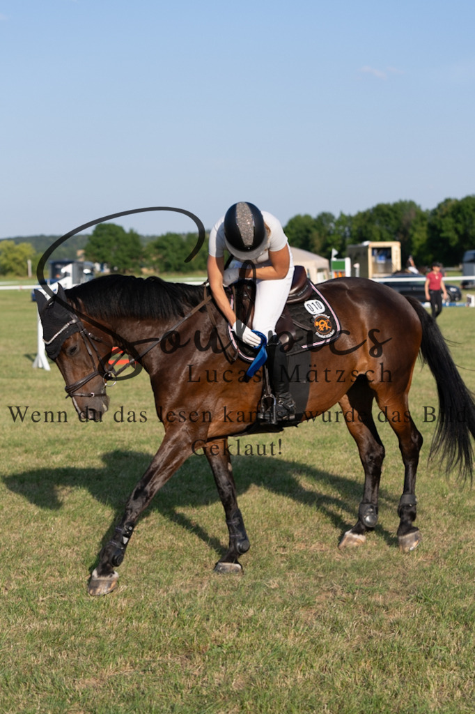 A7V00989 | Pferdefotograf