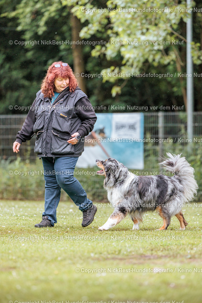 RO-Blumenthal-2026-Nickbest-Hundefotografie-3563 | Dein Hund! Dein Moment! Deine Erinnerungen! Hundefotografie in Bremen Blumenthal. Ich fange die besonderen Momente deines Vierbeiners ein – ob Indoor mit Blitzanlage oder in der freien Natur. Sicher dir dein Moment und dein Termin für eure Erinnerungen.