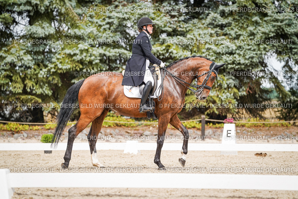 DSC06692 | Pferdegrafie