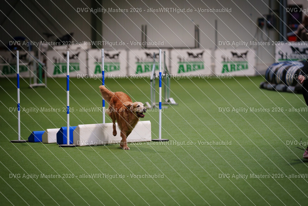 allesWIRTHgut_Tierfotografie-DVG_Agility_Masters_2026-08_11-7R509746 | Professionelle Tierfotografie in Mönchengladbach von Daniel Wirth (allesWIRTHgut). Liebevolle & natürliche Bilder von Hunden & Katzen für unvergessliche Erinnerungen.