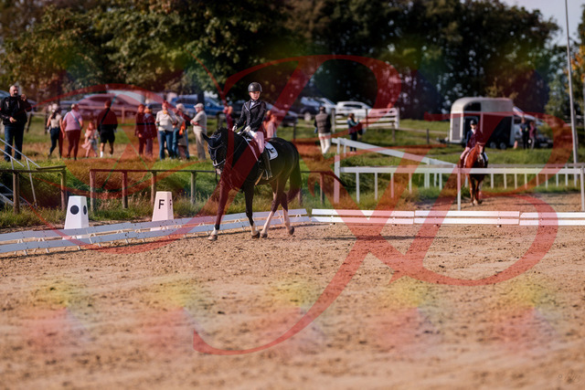 2026_10_03_Siefer-Hof_121551_Z81_17573898 | Professionelle Reitsport-, Turnier- und Eventfotografie von Robert Broda. Galerien mit ausgewählten und bearbeiteten Bildern direkt online ansehen und bestellen.