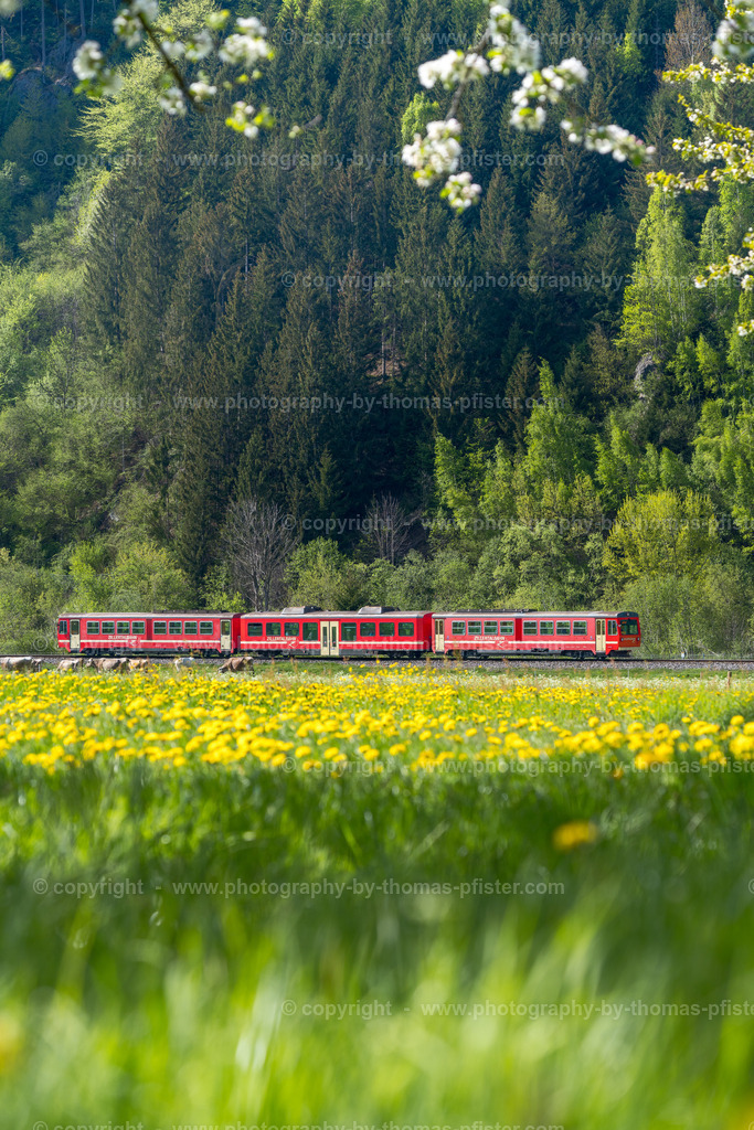 Zillertalbahn im Frühling copyright  Thomas Pfister-5 | PHOTOGRAPHY BY THOMAS PFISTER