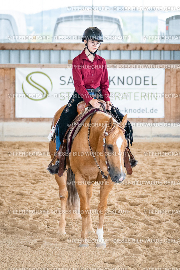 DSC01374 | Pferdegrafie