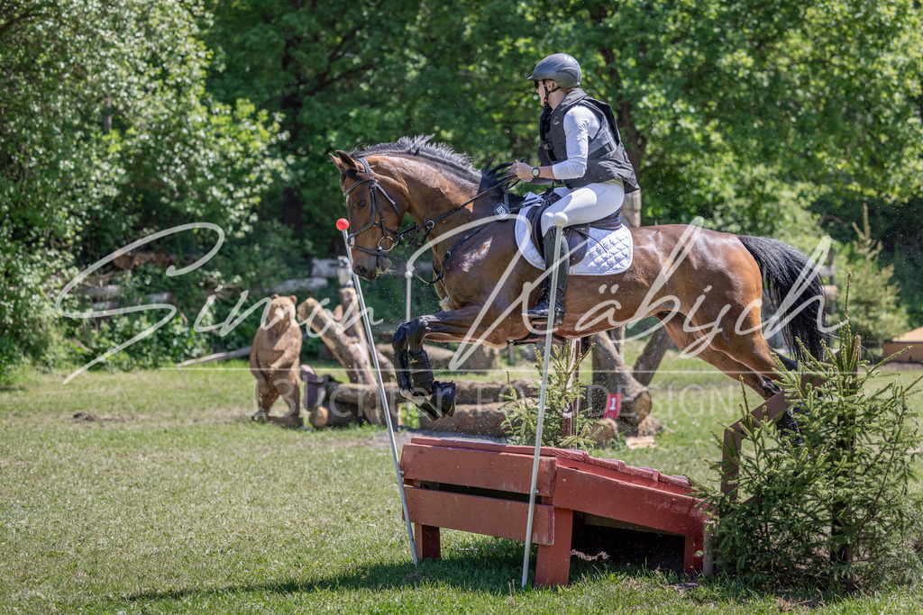 20260523-_3LI8580 | Tierfotografie Pferde, Hunde, Katzen, Haustiere.
Turnierfotografie Reitturniere, Reiten, Springreiten, Dressur in Hanau, dem Main-Kinzig-Kreis und dem Rhein-Main- Gebiet um Frankfurt
