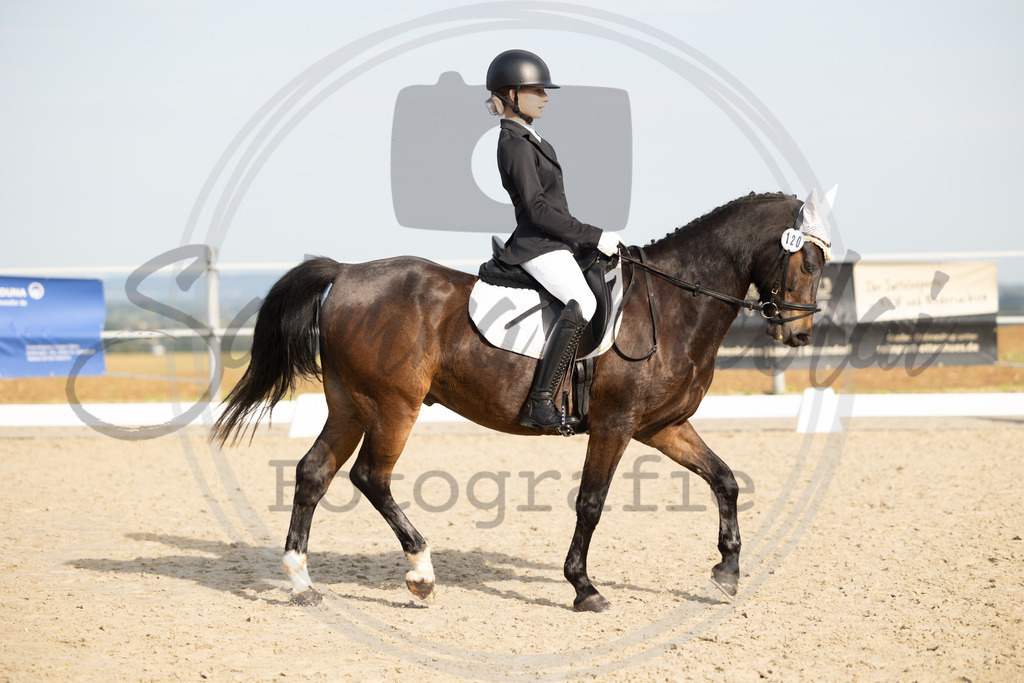 994A1188 | sabrinanicolaifotografie - Realisiert mit Pictrs.com