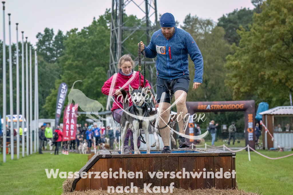 1213--4 | kk-dogfotos