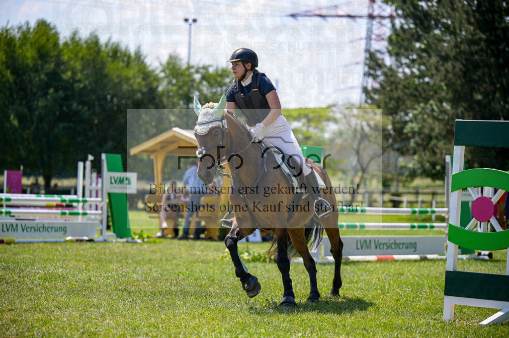 Reitturnier Voxtrup | Entdecke hochwertige Reitturnierfotos von Foto Oger. Professionell, emotional und authentisch – jetzt Lieblingsmomente im Shop bestellen.Deutschlandweite Turnierfotografie. - Realisiert mit Pictrs.com