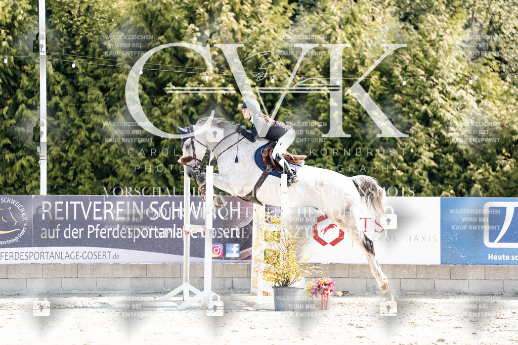 CK902614 | Turnierfotografie Pferdefotografie Trier Rheinland-Pfalz Pferdesport Reitsport Tierfotografie Sportfotografie Pferdevideo Pferdevideografie Equestrianvideography equestrianphotography  - Realisiert mit Pictrs.com