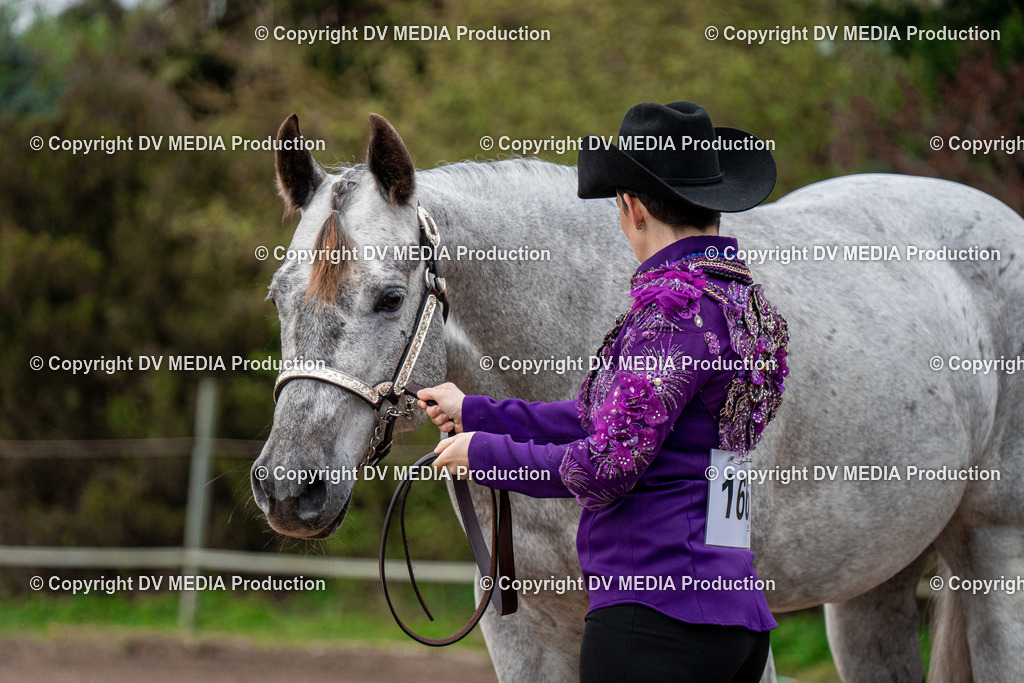 BA300088 | dv-media-shop - Realisiert mit Pictrs.com