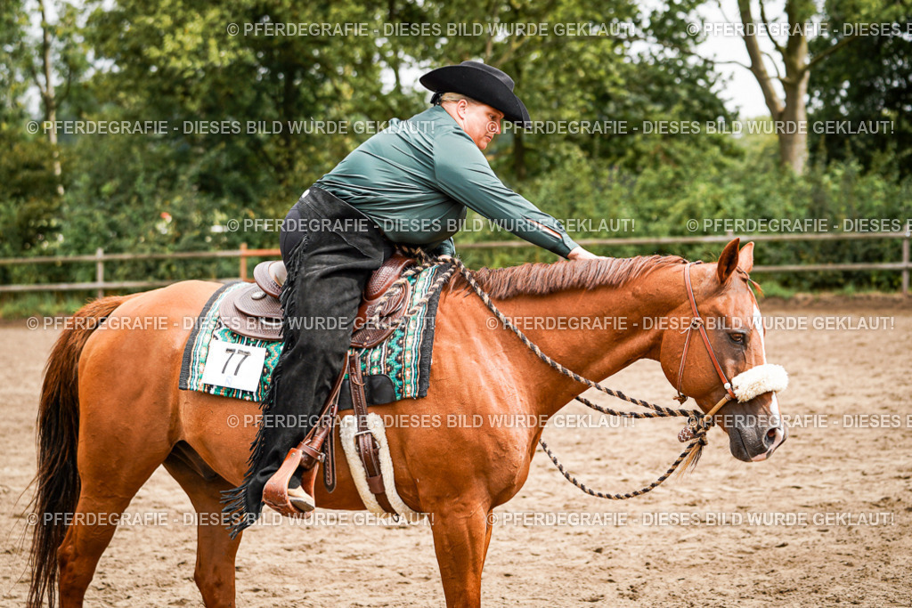 DSC04759 | Pferdegrafie