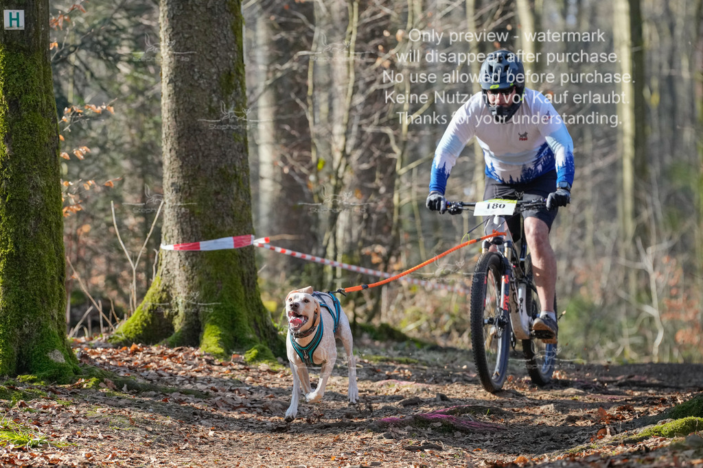 Bike_So-41 | stephaniefillaphotographie - Realisiert mit Pictrs.com