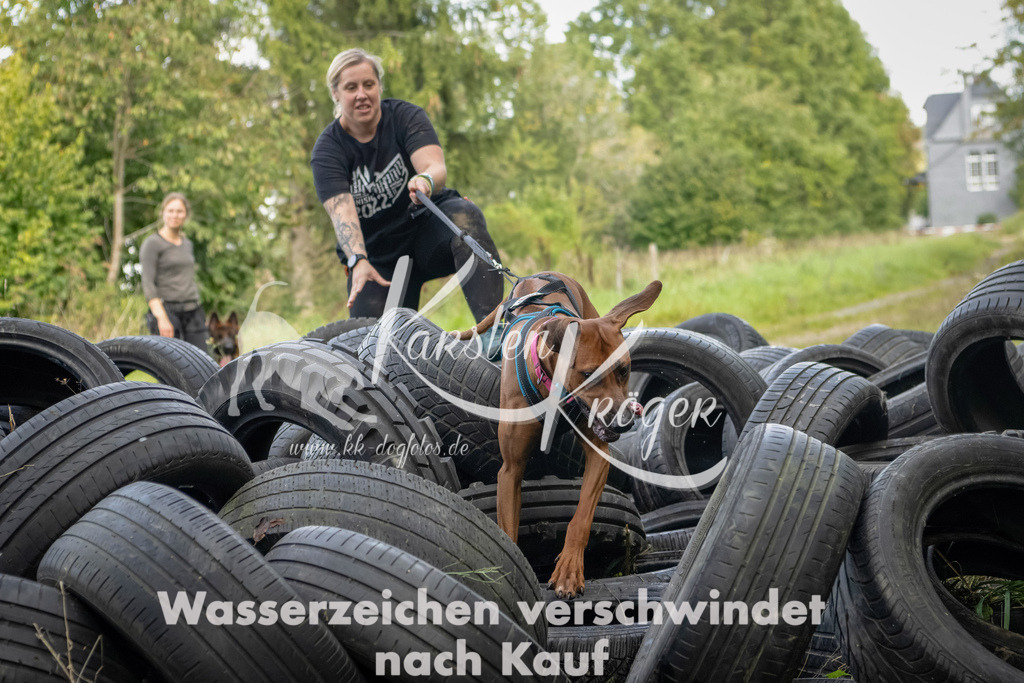 1509_ZZ91242-Bearbeitet | kk-dogfotos