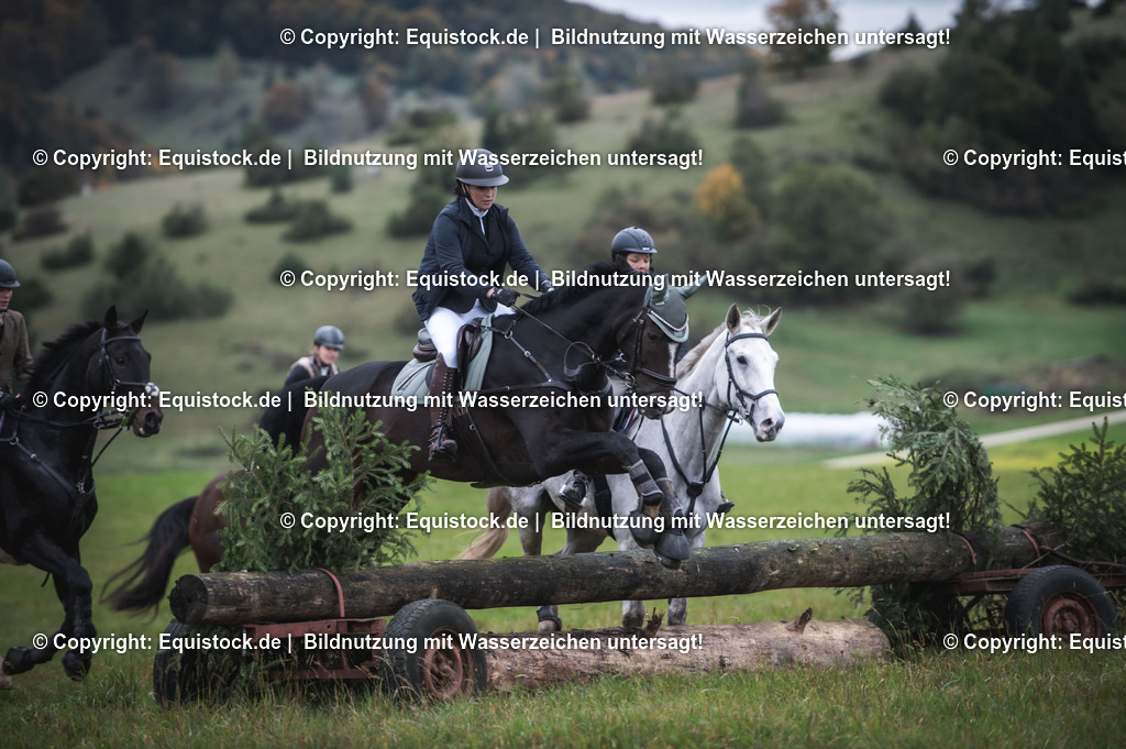 20241013_Jagd-Marbach_0229 | Foto: Thomas Hartig