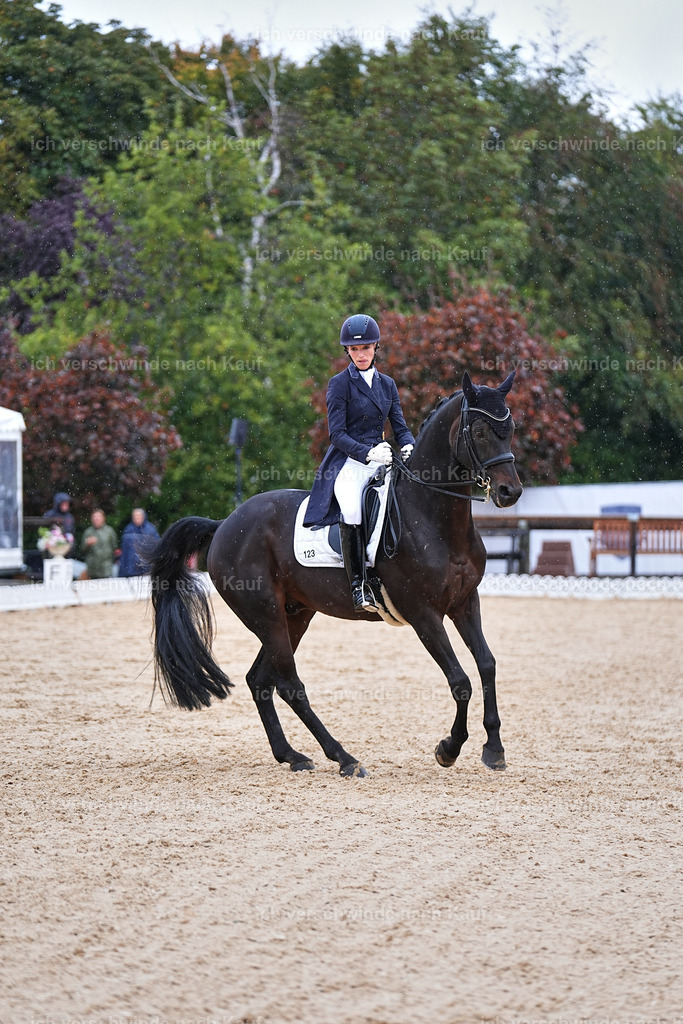 07-123-DRESSUR  S___  -Marixx-5116 | working equitationturnier fotograf videograf stoibphotography marixx film working equitation deutschland reitsport turnierfotografie eventfotografie equestrian events