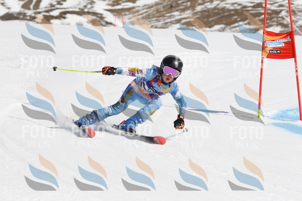 _U3G0257 | holidayphoto