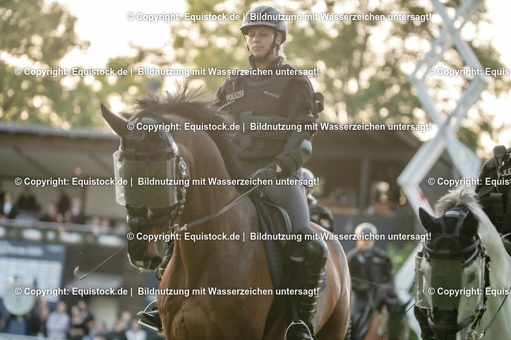 20230526_Pferdenacht_0360 | equistock