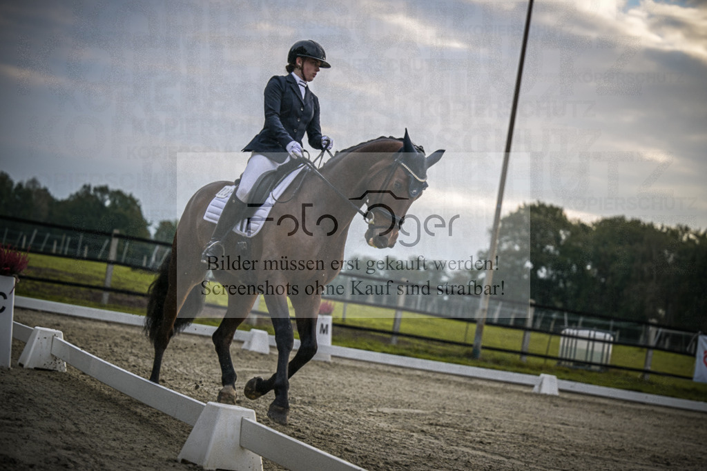 DOS_1587 | Entdecke hochwertige Reitturnierfotos von Foto Oger. Professionell, emotional und authentisch – jetzt Lieblingsmomente im Shop bestellen.Deutschlandweite Turnierfotografie. - Realisiert mit Pictrs.com