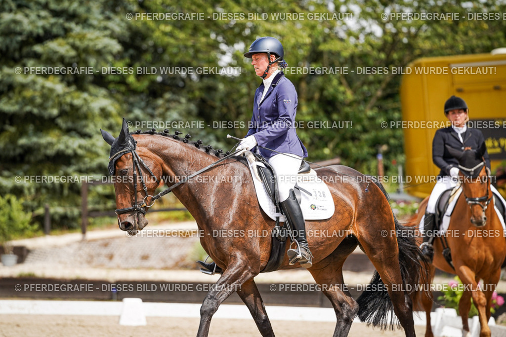 DSC03966 | Pferdegrafie