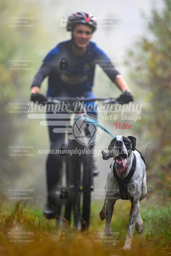 MompixPhotography_20TSB_E4_Bike-44 | PayLife