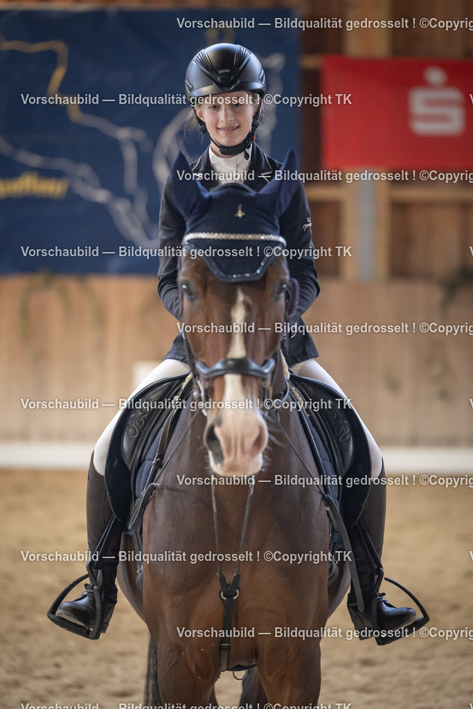 _D5A5700 | Emotionale Pferde- & People-Fotografie rund um Heidelberg, Leimen & Umgebung. Natürliche Fotos von Pferd, Mensch & Familie. Jetzt Termin sichern!