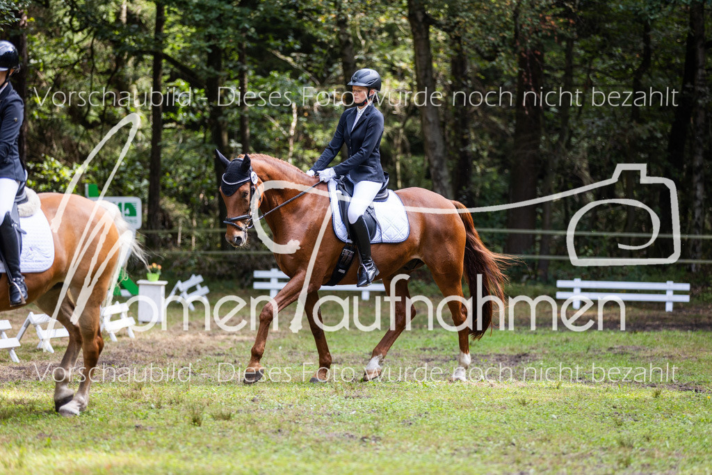 HB-Dressur-WB-044 | MomenTaufnahmen Pferdesportfotos